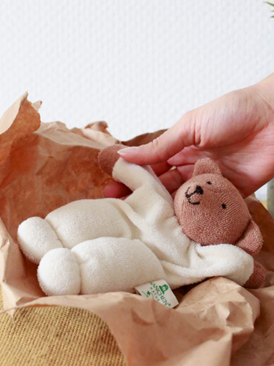 Teddy Comforter